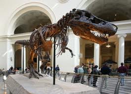 Похитителю скелетов динозавров светит 17 лет тюрьмы