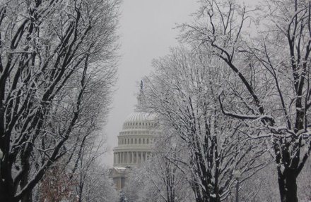 Снег парализовал Вашингтон: Белый дом не работает