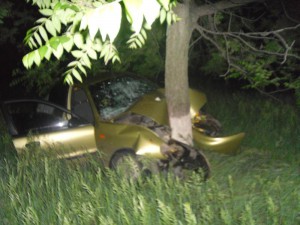 На Днепропетровщине водитель легковушки врезался в дерево: 1 человек погиб, четверо травмированы
