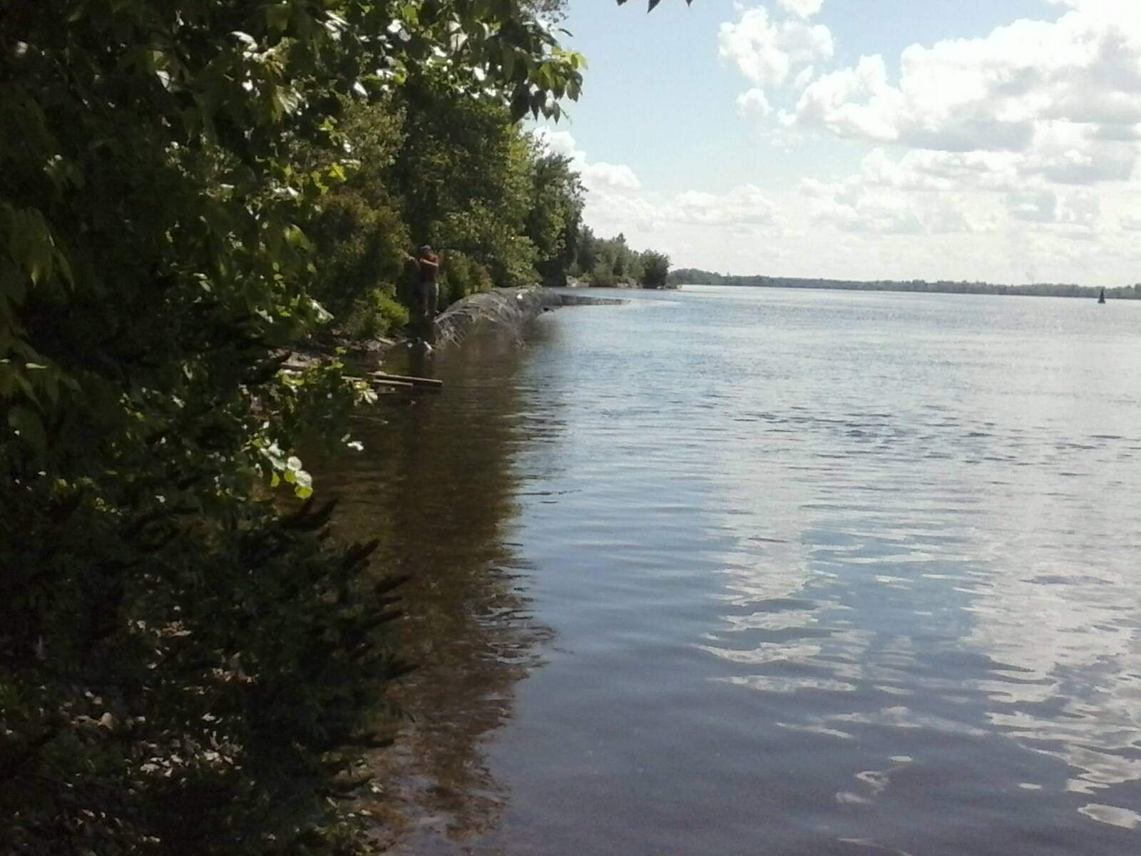 Днепровской экологической прокуратура обязала демонтировать ограждения берега Днепра