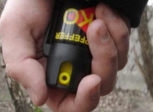 В Украине охранников могут вооружить газовыми баллончиками и дубинками