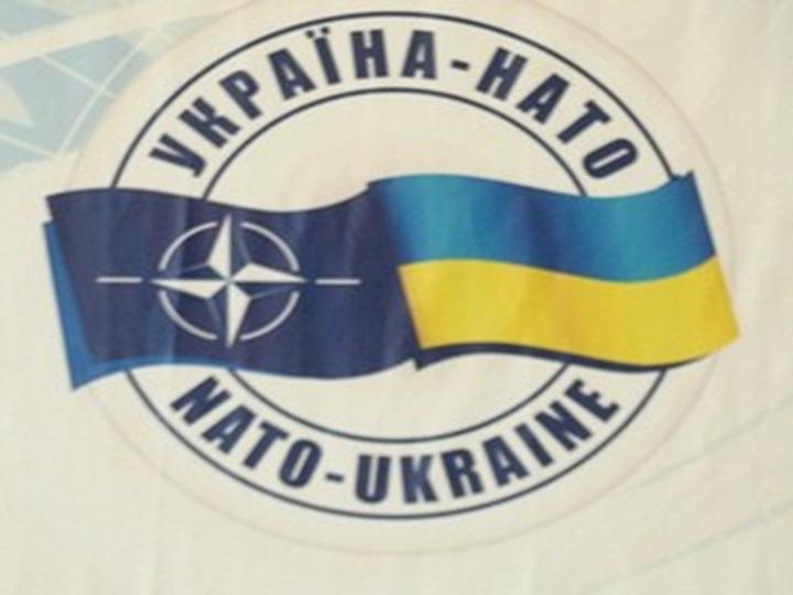 Президент подписал Указ «О годовых национальных программах сотрудничества Украина - НАТО» 