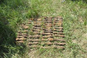 В Киевской области найдены взрывоопасные предметы времен войны