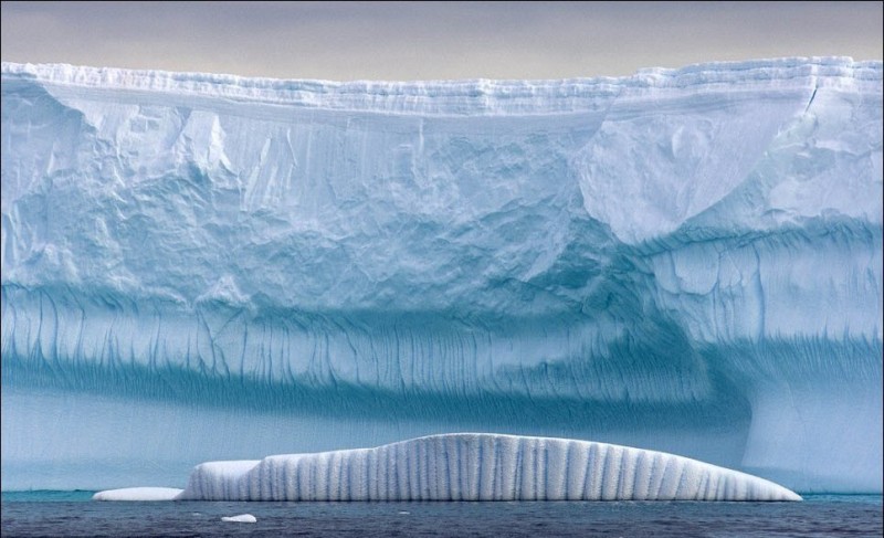 В Антарктике от ледника откололся айсберг размером с Москву