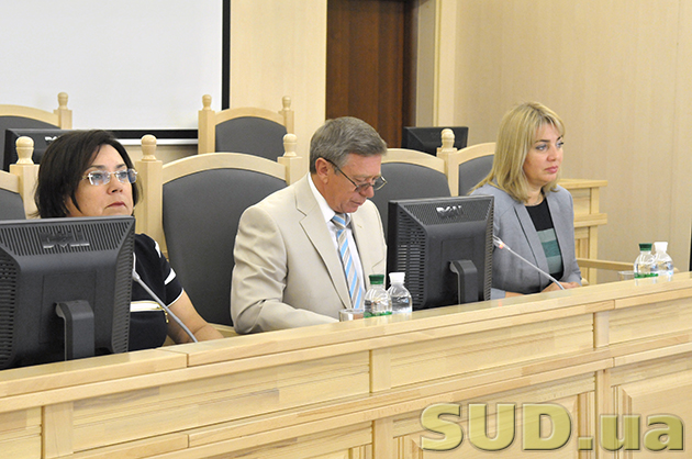 Заседание совета судей административных судов 12.07.2013