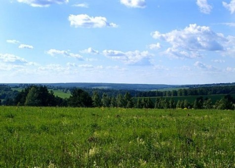 Киевской общине возвращены 4 земельных участка на Оболони стоимостью 11 млн грн