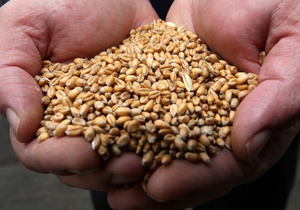  В Украине создадут зерновой пул, - Кабмин. ВИДЕО