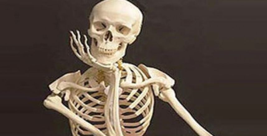 В Ровенской области обнаружили скелет мужчины, погибшего 2 года назад. ВИДЕО