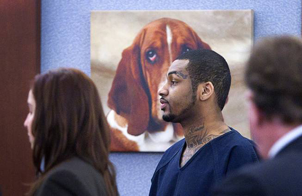 Судья из Лас-Вегаса украсила зал заседаний фотографиями собак