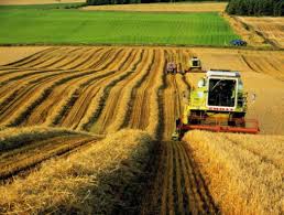 Правительство создаст нормативную базу для поддержки украинских аграриев
