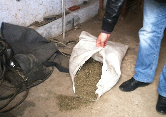 У жителя Одесской области изъяли 25 кг. наркотиков