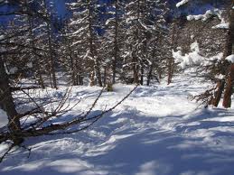 Закарпатская область: во время катания на лыжах получили травмы 7 туристов