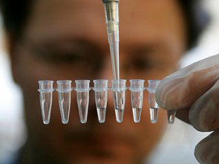 Лабораторная работа отправила студенток в больницу