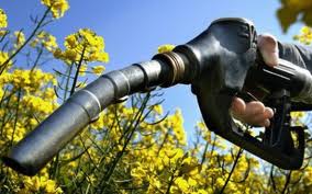 Госпредпринимательства: производители биотоплива должны иметь возможность импортировать продукцию без лишних согласований
