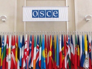 ОБСЕ поддержала проект резолюции, осуждающей действия РФ в отношении Украины