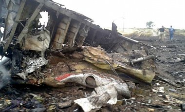 Террористы не пойдут на перемирие ради расследования трагедии с малазийским самолетом