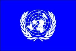 Миссию наблюдателей ООН в Украине продлили до 15 декабря. ВИДЕО