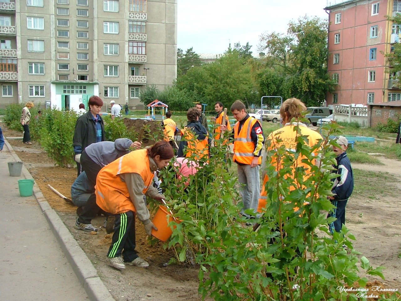 В Киеве коммунальщики присвоили более 1 млн гривен, выделенных на озеленение города