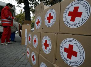 В Лисичанске милиция установила похитителей гуманитарной помощи