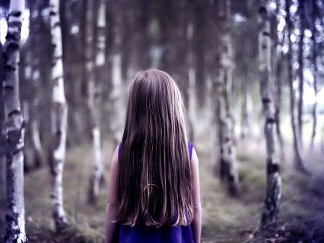 В лесу на Тернопольщине пропала 5-летняя девочка