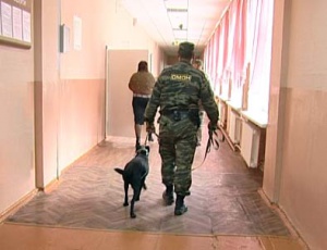 Парень "заминировал" школу из мести учителям