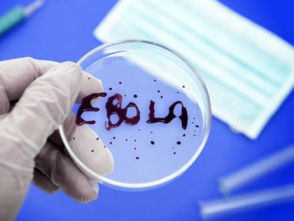 С вирусом Эбола надеются справиться за год, - ООН