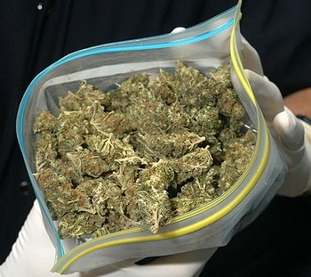 Правительство Ямайки разрешило жителям хранить марихуану