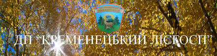 На Тернопольщине участников организованной группы будут судить за присвоение почти 1 млн. грн