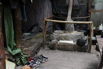 Суд вернул отцу 4-х детей-маугли, живших в лесу под Киевом