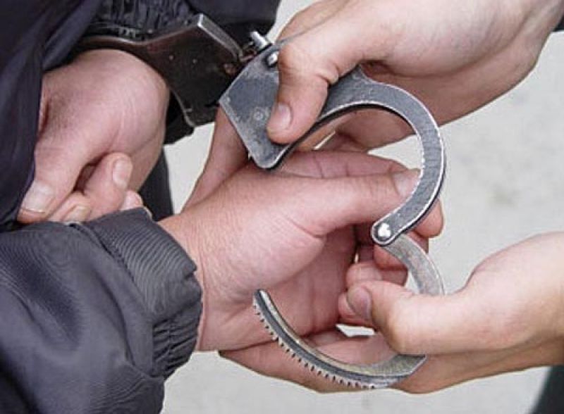Внук-убийца приговорен к 10 годам лишения свободы