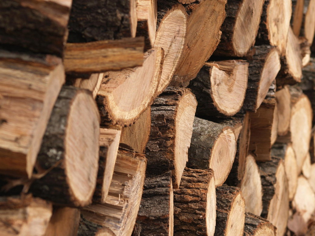 Парламент ввел запрет на экспорт лесоматериалов в необработанном виде