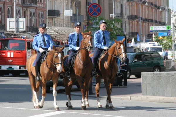 В столице появится конный и речной патрули