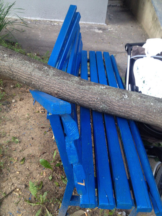 ЧП в Харькове: в результате падения дерева травмированы женщина и ее маленький ребенок