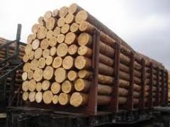Президент подписал закон, запрещающий экспорт необработанных лесо- и пиломатериалов