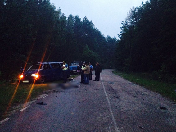 В Черниговской области в ДТП погибли два человека, еще семеро пострадали