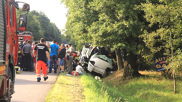 В Польше автобус с украинцами врезался в дерево