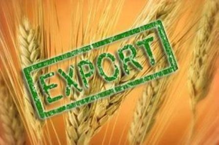 ГФС обнаружила махинации при экспорте зерновых на 10 млн грн