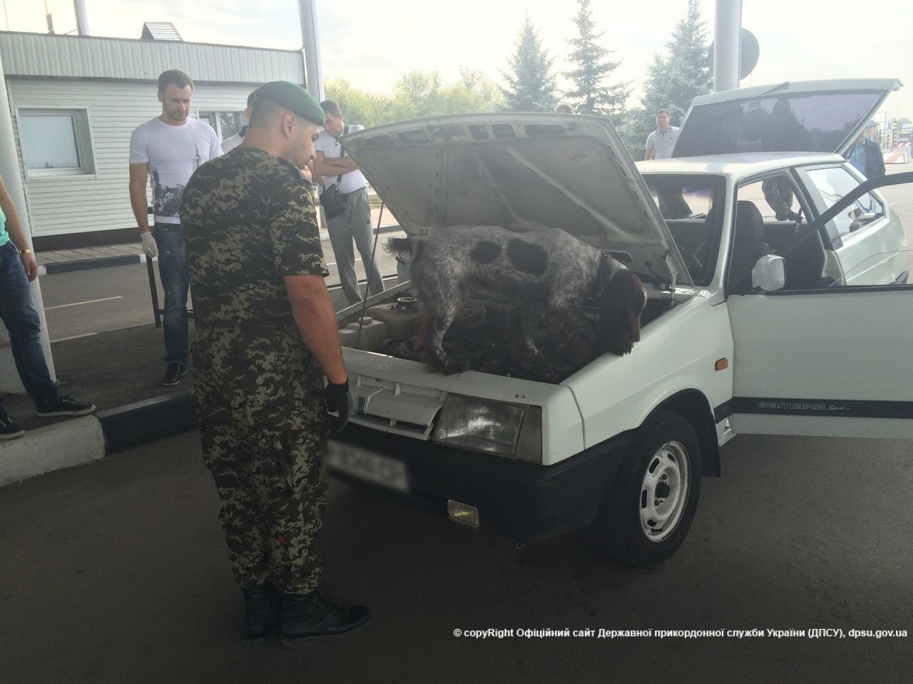 На границе в Харьковской области служебная собака обнаружила почти 12 кг марихуаны