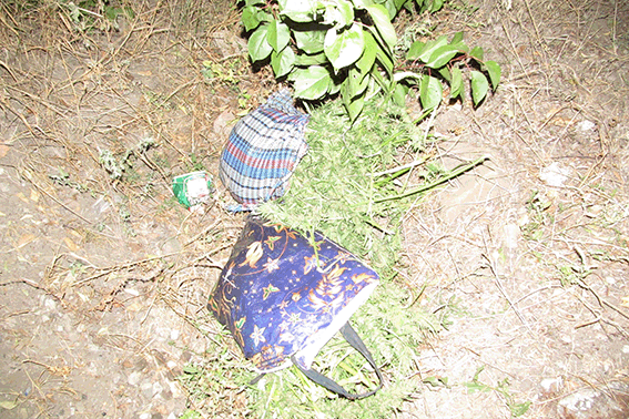 На Луганщине у местного жителя изъяли килограмм конопли