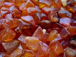 В Ровенской области задержали скупщика янтаря с камнями стоимостью в 2 млн гривен
