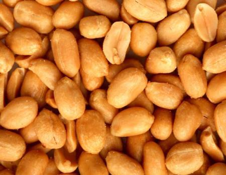 В США бизнесмен получил 28 лет за сбыт арахиса с сальмонеллой