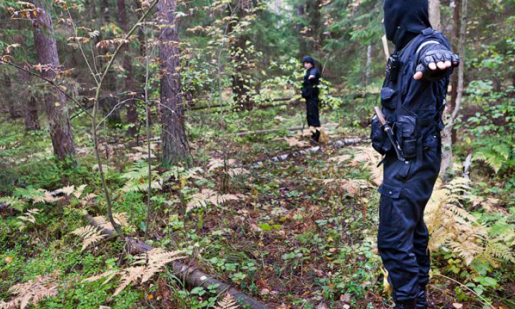 В Николаевской области в лесу нашли обгоревший труп женщины