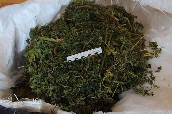 На Львовщине задержана группа наркоторговцев, у которых изъяли 6 кг марихуаны