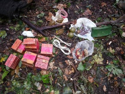 В Донецкой области в лесу нашли почти девять килограммов тротила 
