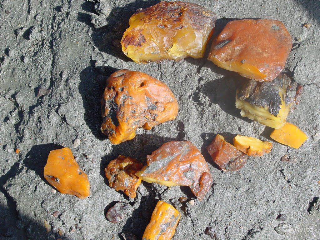 В Ровенской области за незаконную добычу янтаря осудили 12 человек