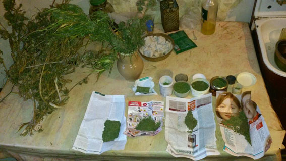 В собственном доме житель Дзержинска вырастил конопли на приличную сумму