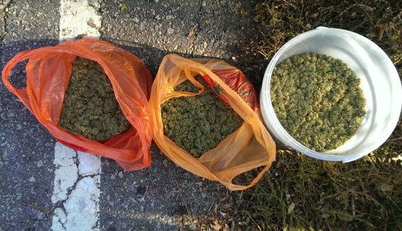Запорожские полицейские изъяли около 20 кг конопли 