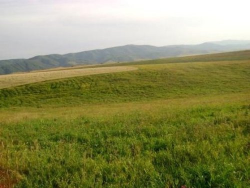 На Полтавщине чиновник незаконно раздал более 30 гектаров земель археологического наследия