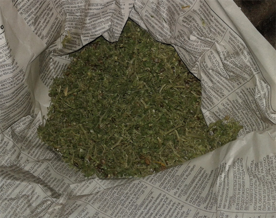 Около 2 кг марихуаны полицейские изъяли у жителя Кировоградской области