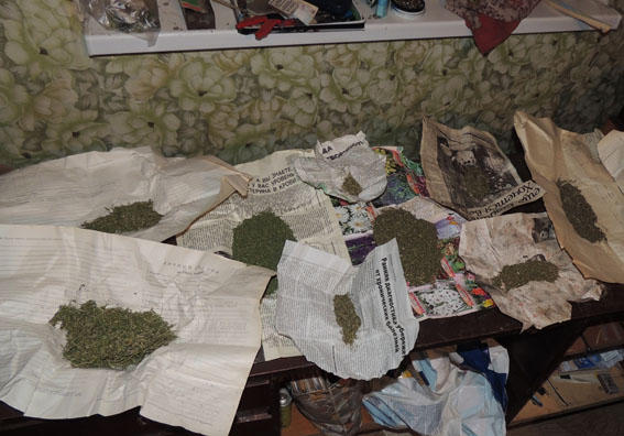У жителя Донецкой области изъята партия марихуаны на 25 тыс. грн.